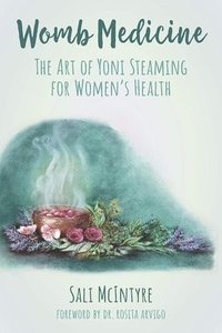 bokomslag Womb Medicine