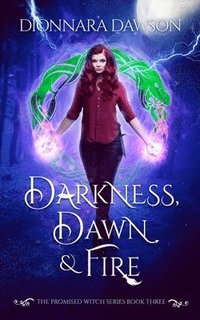 bokomslag Darkness, Dawn & Fire