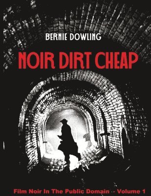 bokomslag Noir dirt cheap