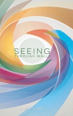 Seeing Through Walls 1