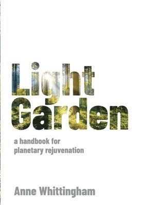 Light Garden 1