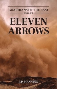 bokomslag Eleven Arrows