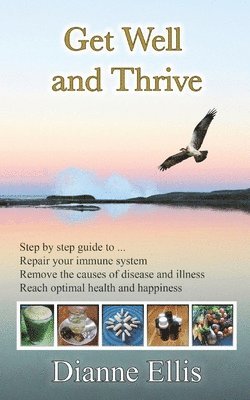 bokomslag Get Well and Thrive: Step by step guide to remove the causes of disease and illness, repair your immune system & reach optimal health and happiness