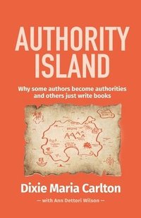 bokomslag Authority Island