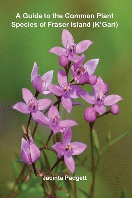 bokomslag A Guide to the Common Plant Species of Fraser Island (K'Gari)