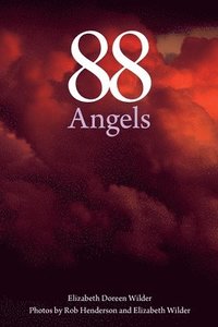 bokomslag 88 Angels