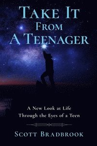 bokomslag Take It From A Teenager