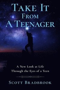 bokomslag Take It From A Teenager: An Insight About Life Through the Eyes of a Teenager
