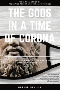 bokomslag The Gods in a Time of Corona