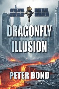 bokomslag Dragonfly Illusion
