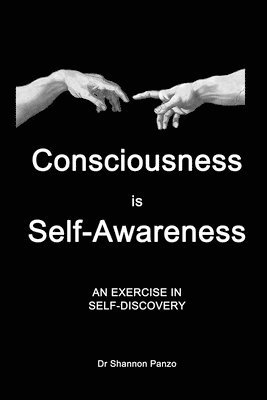 Consciousness is Self-Awareness 1