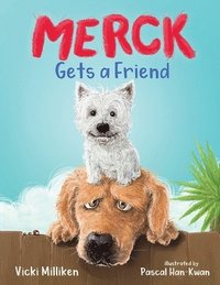 bokomslag Merck Gets a Friend