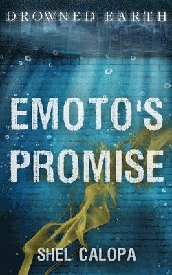bokomslag Emoto's Promise