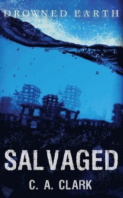 C a Clark - Salvaged, Häftad