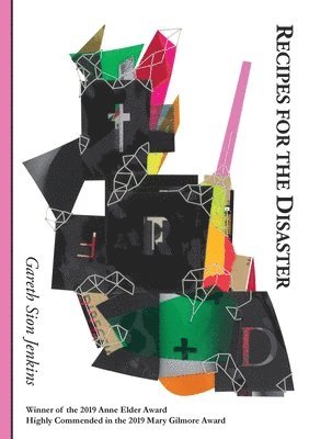 Gareth Sion Jenkins - Recipes for the Disaster, Häftad
