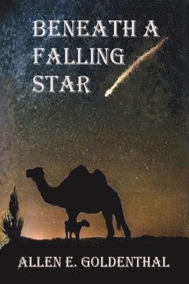Allen E. Goldenthal - Beneath A Falling Star, Häftad