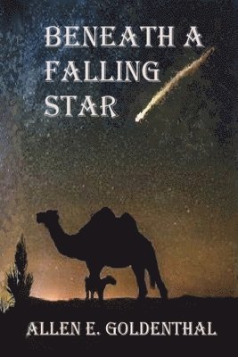 Beneath A Falling Star 1