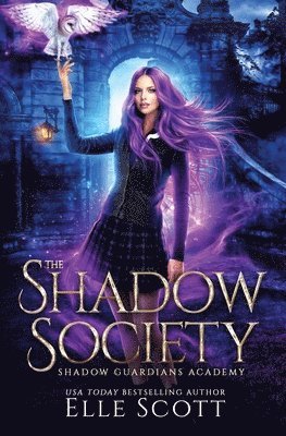 The Shadow Society 1