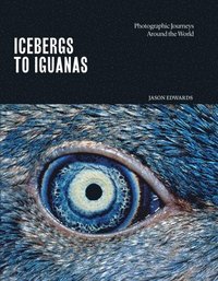 bokomslag Icebergs to Iguanas: Photographic Journeys Around the World
