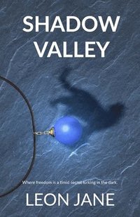bokomslag Shadow Valley