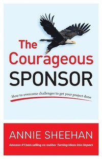 bokomslag The Courageous Sponsor