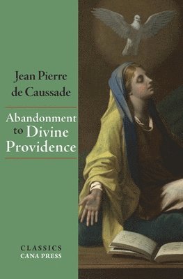 bokomslag Abandonment To Divine Providence