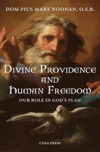 bokomslag Divine Providence And Human Freedom