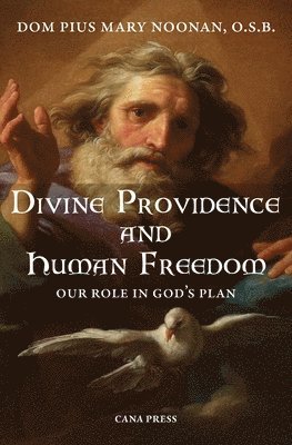 Pius Mary Noonan - Divine Providence And Human Freedom, Häftad