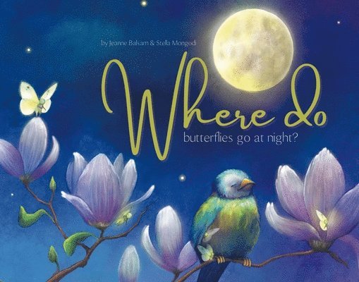 Where Do Butterflies Go at Night? 1