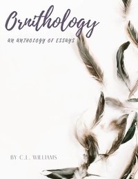bokomslag Essays in Ornithology