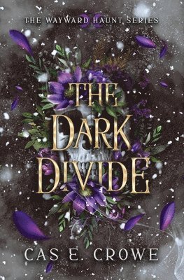 The Dark Divide 1