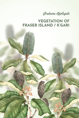 Vegetation of Fraser Island / K'gari 1