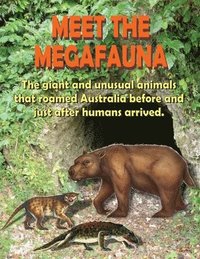 bokomslag Meet the Megafauna 2