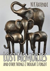 bokomslag Lost Memories and other things I thought I forgot