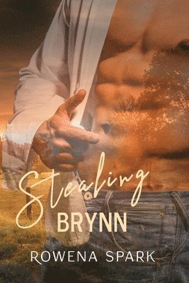 bokomslag Stealing Brynn