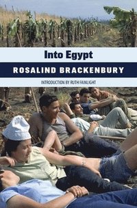 bokomslag Into Egypt