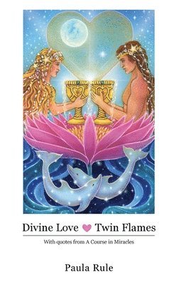 bokomslag Divine Love Twin Flames