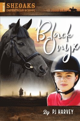 bokomslag Black Onyx