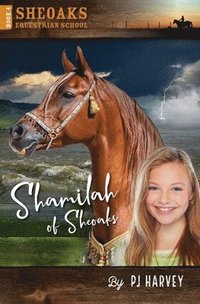 bokomslag Shamilah of Sheaoks