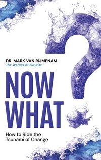 bokomslag Now What?: How to Ride the Tsunami of Change