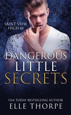 Dangerous Little Secrets 1