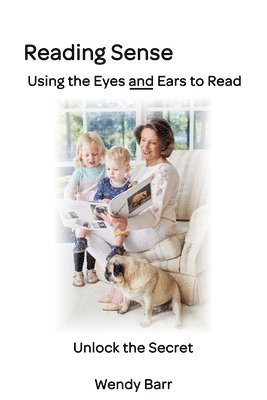 bokomslag Reading Sense