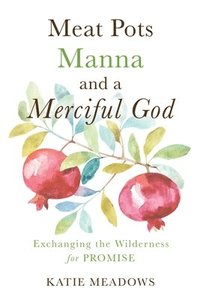 bokomslag Meat Pots, Manna, and a Merciful God