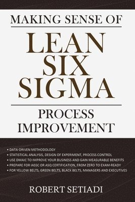 bokomslag Making Sense of Lean Six Sigma Process Improvement