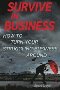 bokomslag Survive in Business