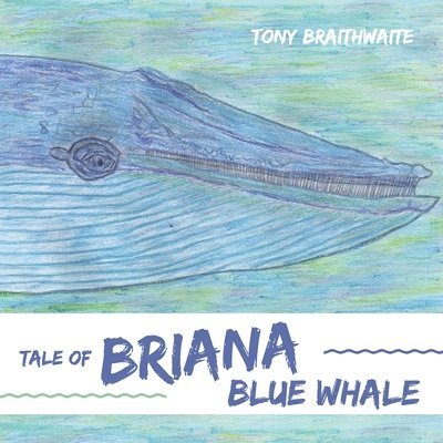 Tony Braithwaite - Tale of Briana Blue Whale, Häftad
