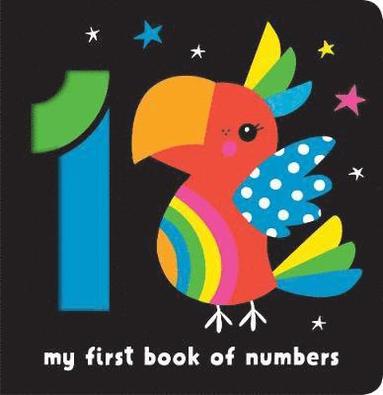 bokomslag My First Book of Numbers