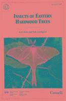 bokomslag Insects of Eastern Hardwood Trees