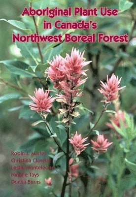 bokomslag Aboriginal Plant Use in Canada's Northwest Boreal Forest