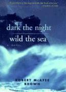 bokomslag Dark Night, Wild Sea